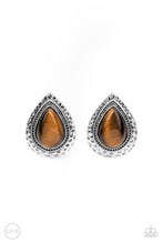 Load image into Gallery viewer, Paparazzi Desert Glow - Brown Tiger&#39;s Eye Earrings
