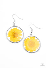 Load image into Gallery viewer, Paparazzi Forever Florals - Yellow Flower Earrings
